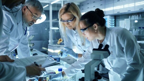 four health and medical researchers gathering and discussing over collected data samples