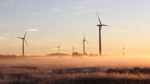 wind farm towers in a field