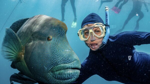 Woman in diving suit with fish underwater